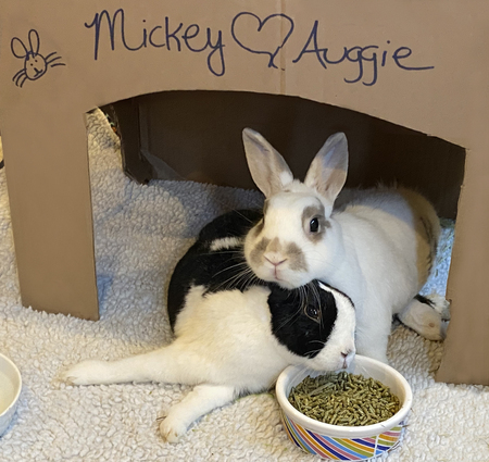 Mickey & Auggie