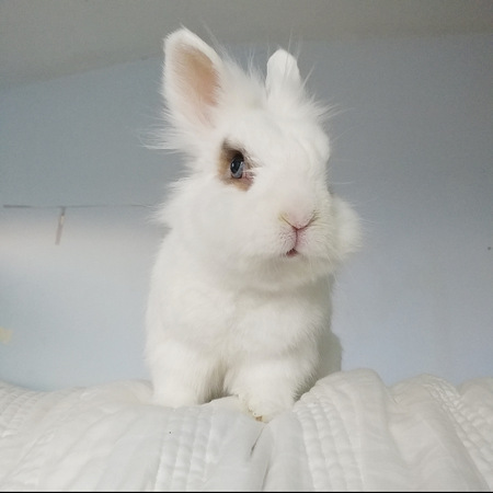Casper