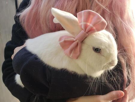Alice