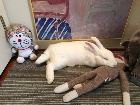 BunBun 