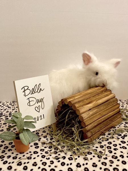 Bella