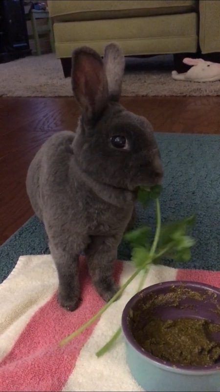 Thumper