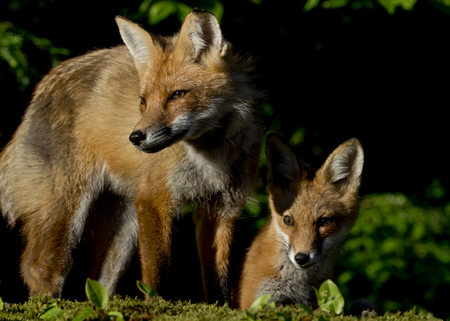Under the loving watch of Mom