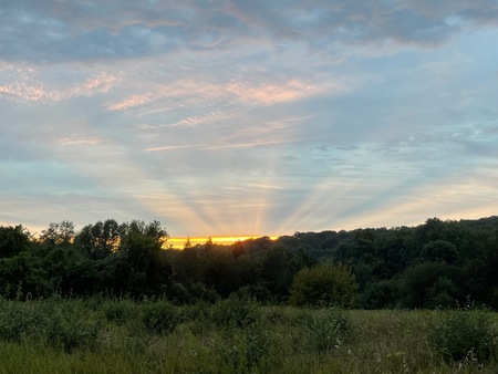 Rays Over Field