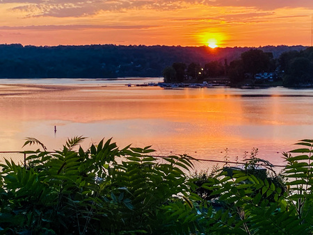 Fire Sunrise