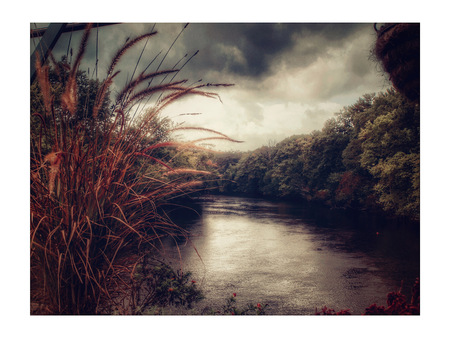 View from the Flower Bridge in the Rain