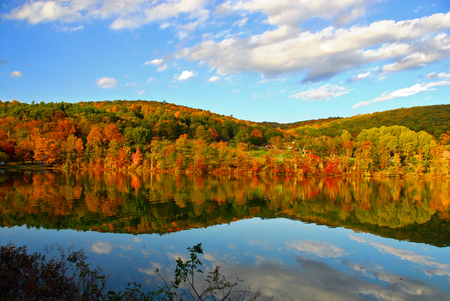 Stillness and Color