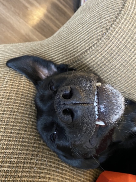 Ella