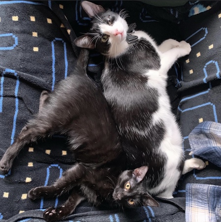 Bitty/Zoey 