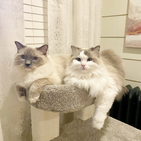 Mia & Boris