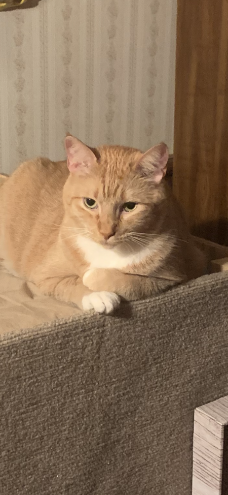 Sebastian 