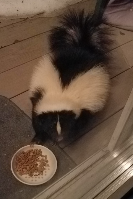 Pepper