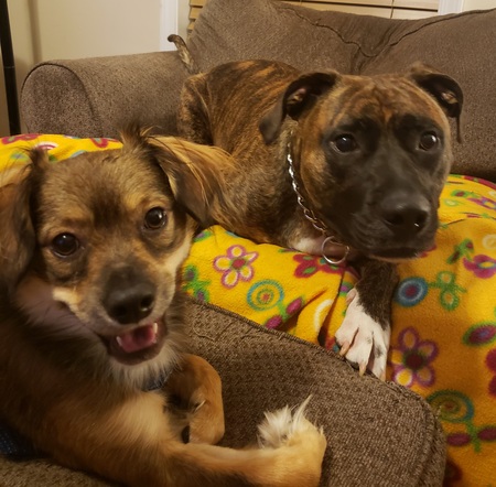 Pierre and Kuai
