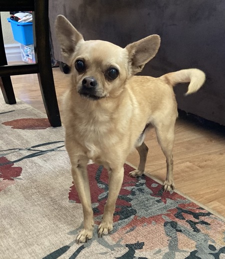 Benny