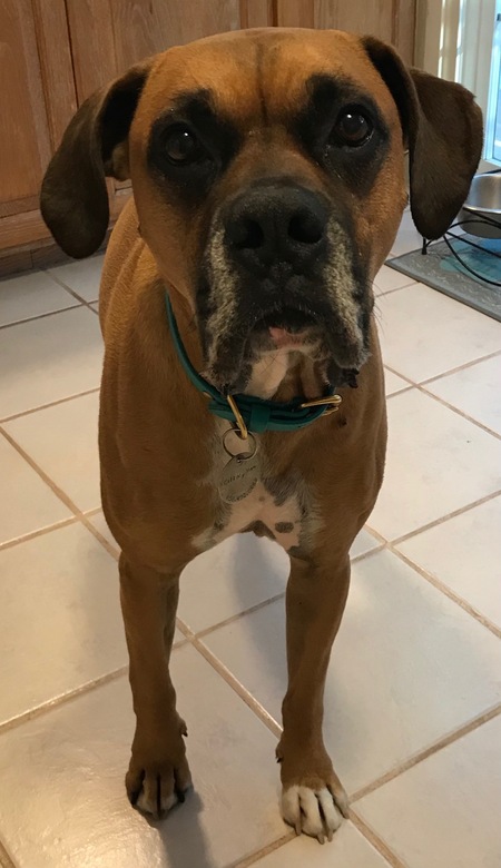 Cosmo