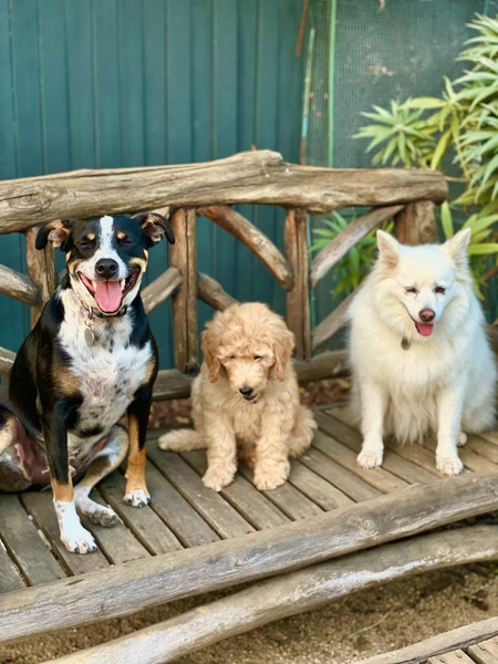 (L-R) Atlas, Moira Rose, and Blair