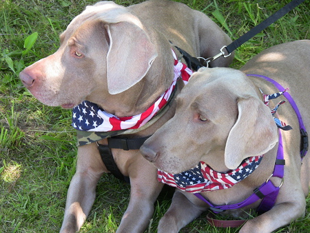 Rocky & Annie