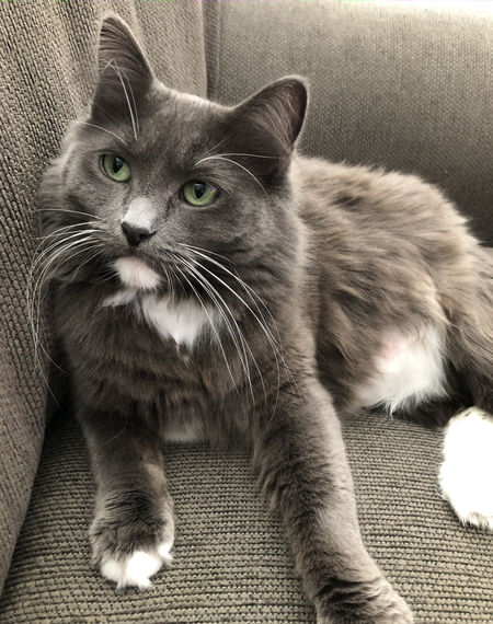 Winnie