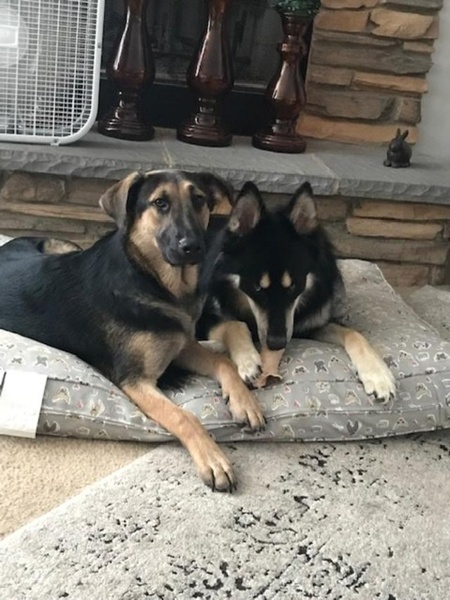 Lucy and Bear 