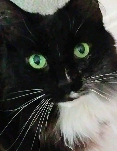 Jasper