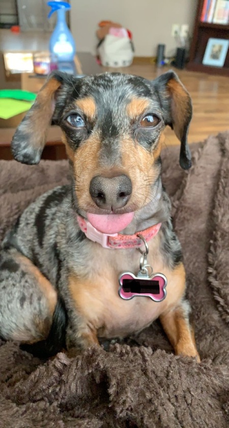 Lucy