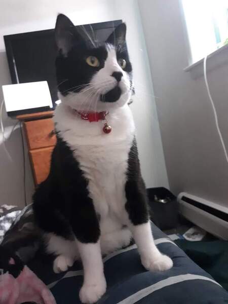 Leo