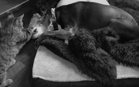 Bob and Molly