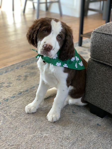 Tucker