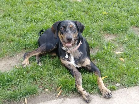 Freyja