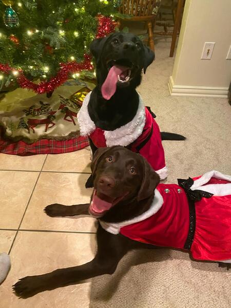 Charly and Mocha