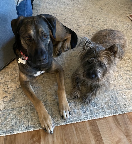 Fred and Finn