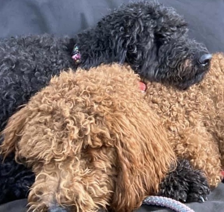 Lucy and Freddie 
