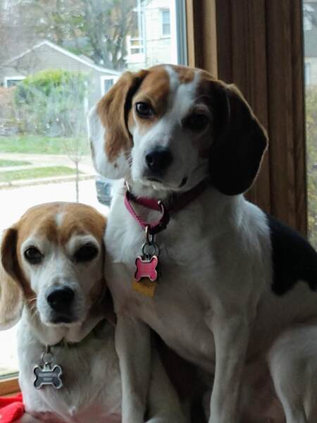Remy and Nellie Jo