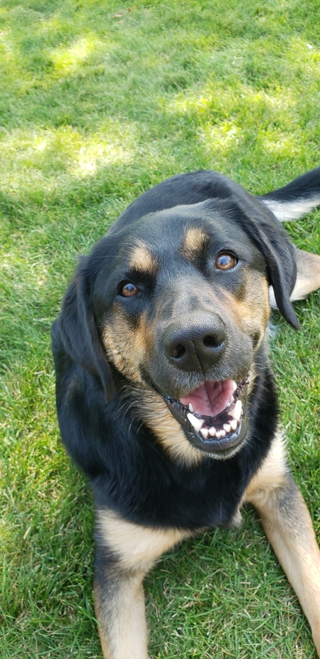 Sadie