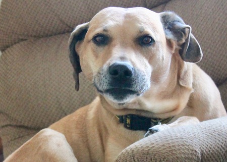Parker