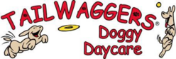 TailWaggers Doggy Day Care (De Pere & Bellevue)