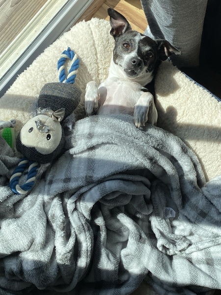 Cooper 