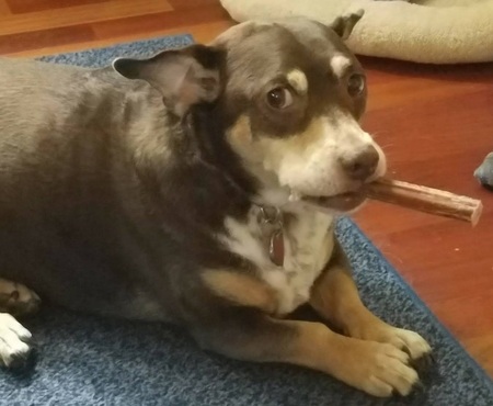 Molly