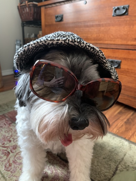 Mojo Diddle