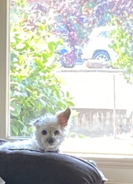 Lucy
