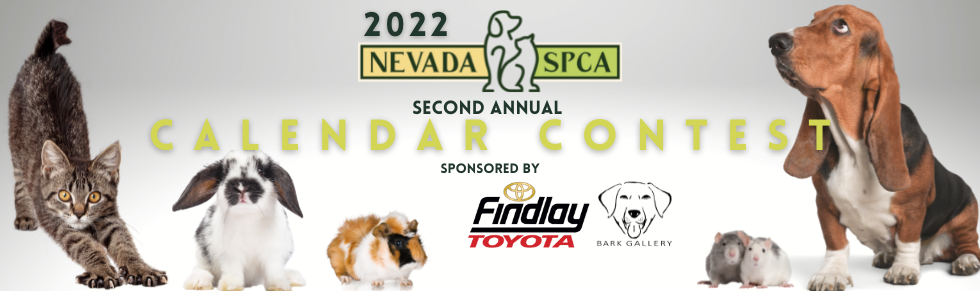 Banner for 2022 Nevada SPCA Calendar Contest