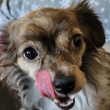 Entry image for Addie
