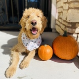 Entry image for Junior
