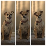 Entry image for Lillian