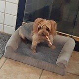 Entry image for Lily