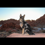 Entry image for Denver
