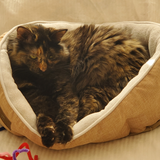 Entry image for Katja