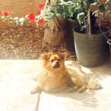 Entry image for Theo