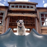 Entry image for Jack