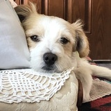Entry image for Eddie